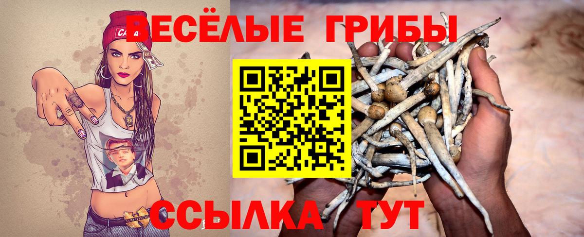 наркота  Псилоцибиновые грибы Psilocybe  Вход с VPN  Кинель 