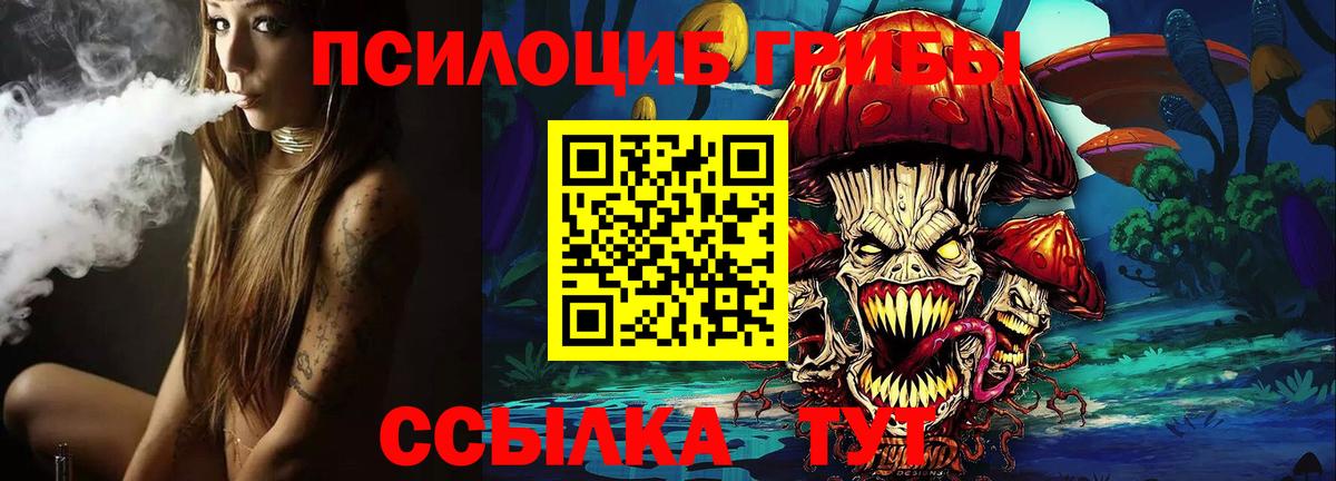 Псилоцибиновые грибы Psilocybine cubensis Кинель