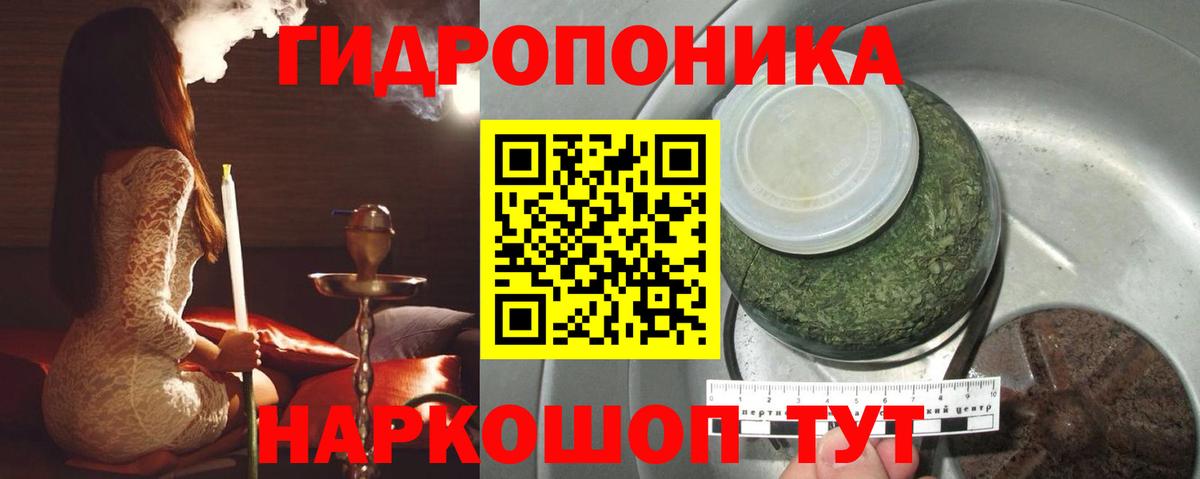 Каннабис Amnesia Кинель